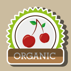 Poster - organic food fruit icon