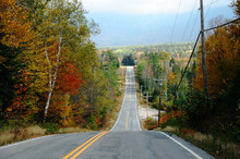 Countryside Road Extending Up And Down In Front Inside Autumn Forest