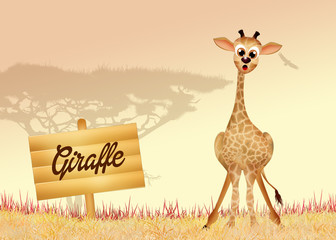 Sticker - giraffe in the jungle