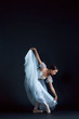 © master1305 - Portrait of the classical ballerina in white dress on black background