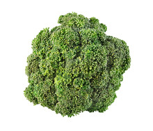 Fresh Ripe Broccoli Tree With Green Leaves Isolated On White