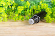© kazmulka - Small bottle of euphorbia cyparissias, cypress spurge extract (Milkweed herbal tincture, infusion, oil)