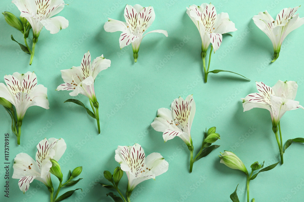 Beautiful flowers on turquoise background