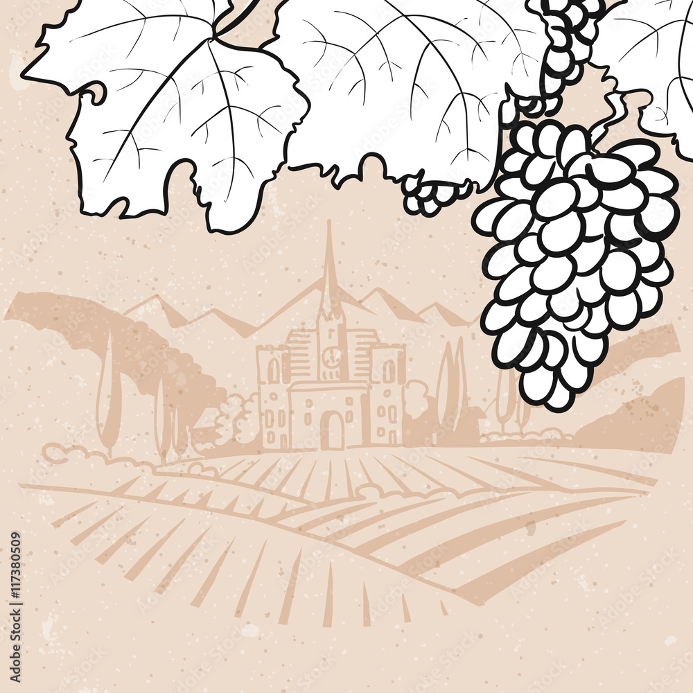 Black and White Grapes in Front of Vintage Vinyard Farm Stock Vector ...