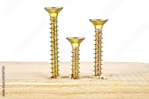 Fotografie, Tablou Various golden screws screwed on wooden plank on a white backgro