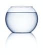 fishbowl isolated on white background
