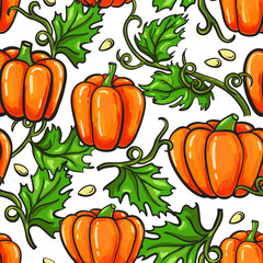 Pumpkin vector seamless pattern drawing. Isolated artistic veget