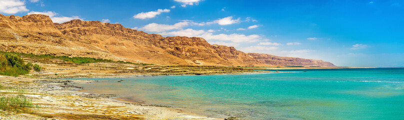 Wall Mural - View of the Dead Sea coastline