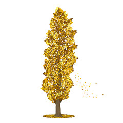 Wall Mural - detached tree poplar with yellow leaves