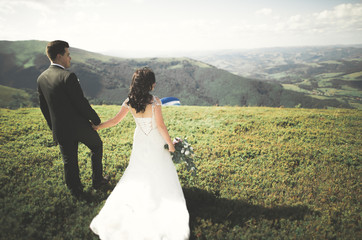 Young wedding couple in love holding hands on the background of mountains