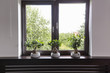 © Photographee.eu - Window decor with plants idea