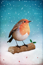 Christmas Card Or Illustration With Robin And Holly