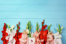 Beautiful Gladiolus Flowers On Color Wooden Background