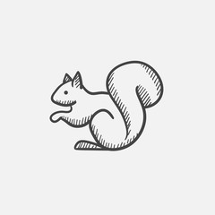 Wall Mural - Squirrel sketch icon.