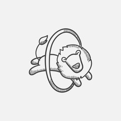 Sticker - Lion jumping through ring sketch icon.