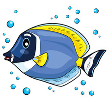 Blue Tang Fish Cartoon
Illustration Of Blue Tang Fish.