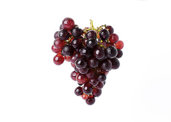 Wall Mural - Fresh Red grape fruits Isolated