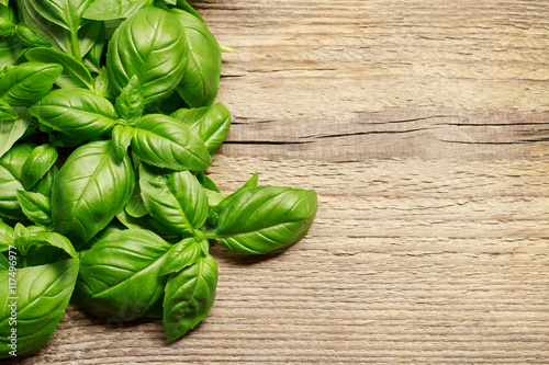 Fotografía Basil leaves on wooden background