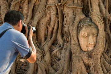 Wall Mural - Buddha head in tree roots with photographer