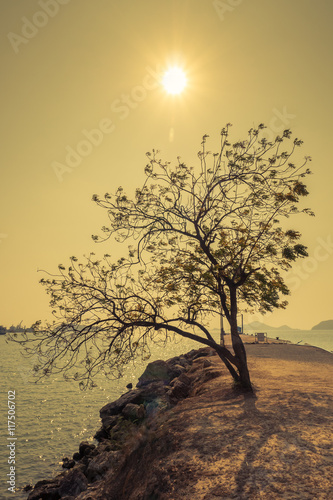 Seul Poster Mural XXL