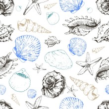 Vector Seamless Pattern Of Colored Seashells. Hand Drawn Engraved Vintage Illustration.