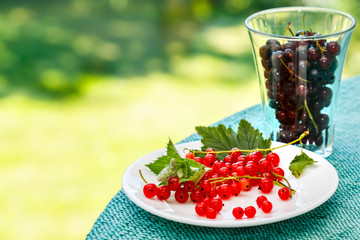 Wall Mural - Currants on the plate