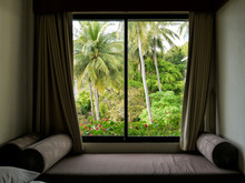 Tropical Gardens And Palm Trees Outside The Window