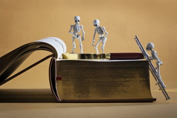 Skeletons, magnifying glass and a book