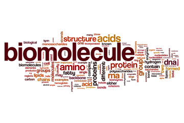 Wall Mural - Biomolecule word cloud concept