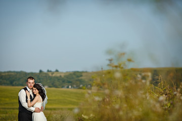 Look from the grass on a happy wedding couple enjoying the momen