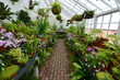 A Greenhouse interior at an  English country garden in Summertime.
