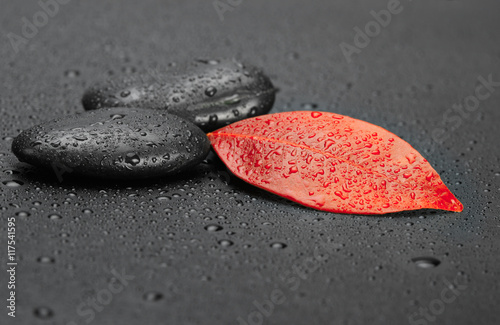 Plakat na zamówienie Jesienny czerwony liść z kamieniami