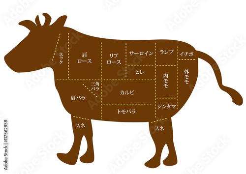 牛肉 部位の名称 Stock Vector Adobe Stock