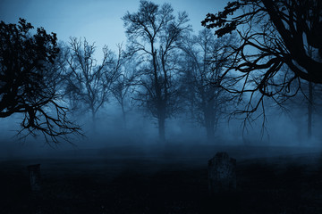 Wall Mural - dark horror forest gravestone background.