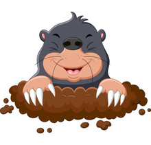 Cartoon Cute Mole