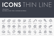 Organisms Thin Line Icons