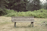 Fototapeta Konie - felling lonely or sad at garden ,park