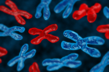 Wall Mural - 3d render chromosomes group as a concept for a human biology x structure containing dna genetic information as a medical symbol for gene therapy or microbiology genetics research.