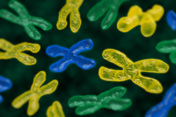 Wall Mural - 3d render chromosomes group as a concept for a human biology x structure containing dna genetic information as a medical symbol for gene therapy or microbiology genetics research.