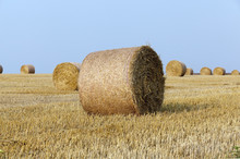 Haystacks In A Field Of Straw