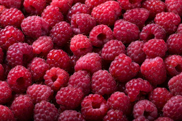 Ripe raspberry background