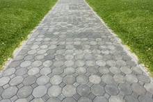 Brick Octagona  Walkway And Green Grass Lawn In Perspective View