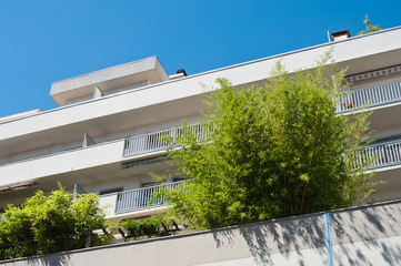 Wall Mural - Détail terrasse avec verdure de bambous