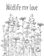 Field plants and flowers in the wildlife, detail painted, background, frame, decorative and vintage illustration, cornflowers, buttercups, Bindweed, and others flora. Black isolated vector.