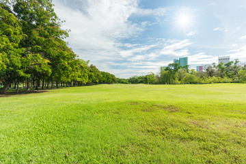 Wall Mural - Green grass field in park at city center with blue sky and sun reflection