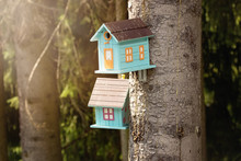 Cute Birdhouses And Old Rustic Wooden