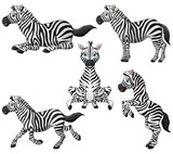 Fototapeta Konie - Zebra cartoon set collection