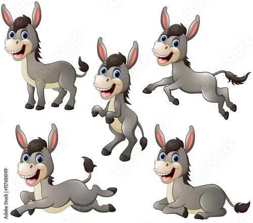 Image result for donkey cartoon