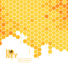 Honeycombs Bright Background