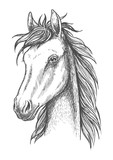 Fototapeta Konie - Sketched horse head icon for t-shirt print design